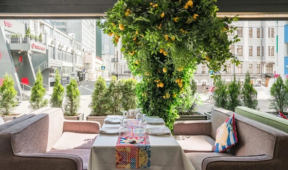 Фото №9 зала Веранда