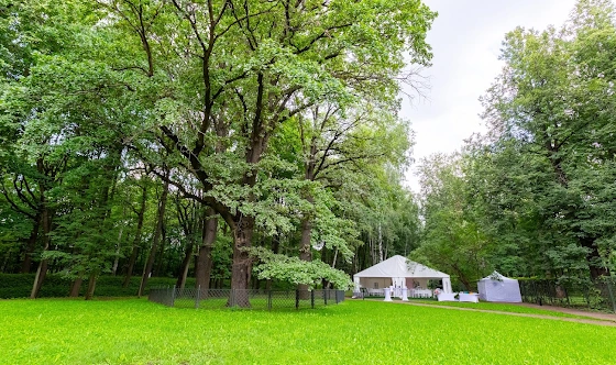 Фото №13 зала Шатёр за Голландским Домиком