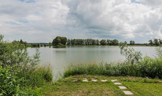 Фото №14 зала Ресторан "Лось-Найкин"