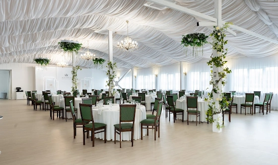 Фото №16 зала Зал «Аэлита»