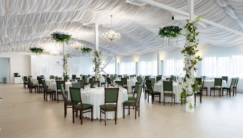 Фото №16 зала Зал «Аэлита»