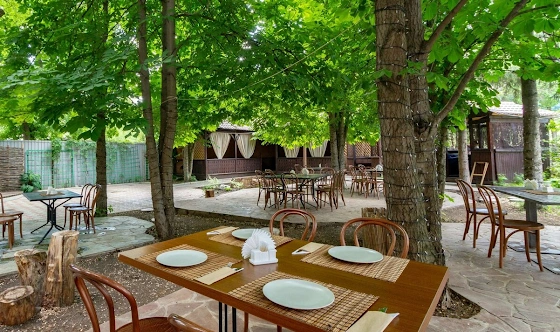 Фото №1 зала Летняя веранда