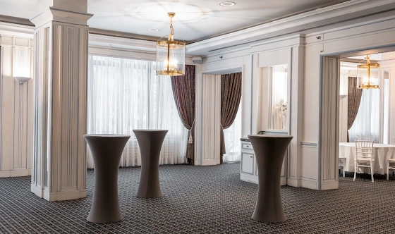 Фото №16 зала Зал «Елисейские поля»