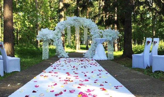 Фото №5 зала Банкетный зал 