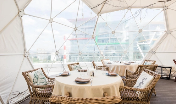 Фото №4 зала Иглу белая