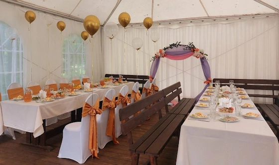 Фото №1 зала Летний шатер в липах