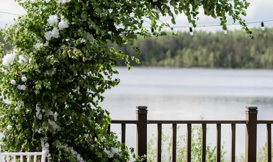 Фото №12 зала Ресторан