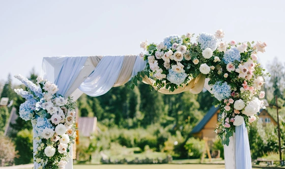 Фото №6 зала TERRASSA