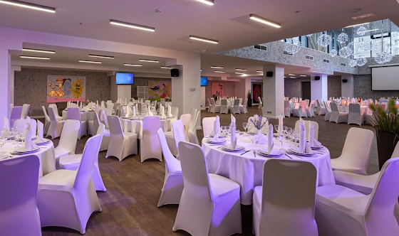 Фото №6 зала Банкетный зал «Густав Климт»