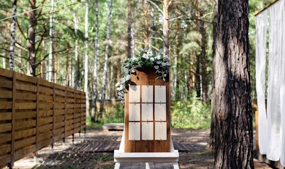 Фото №9 зала Площадка для выездной церемонии