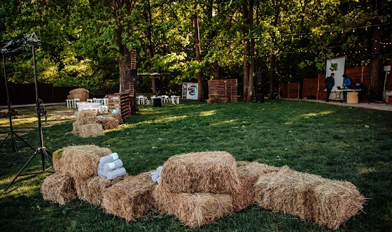 Фото №3 зала Зеленая площадка