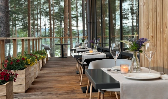 Фото №7 зала Ресторан "Ягодки"