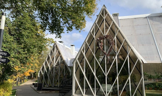 Фото №11 зала Левая и правая оранжерея 