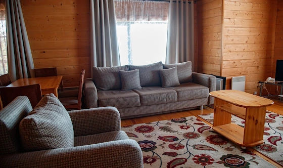 Фото №6 зала Альпийские дома "Южный поселок"