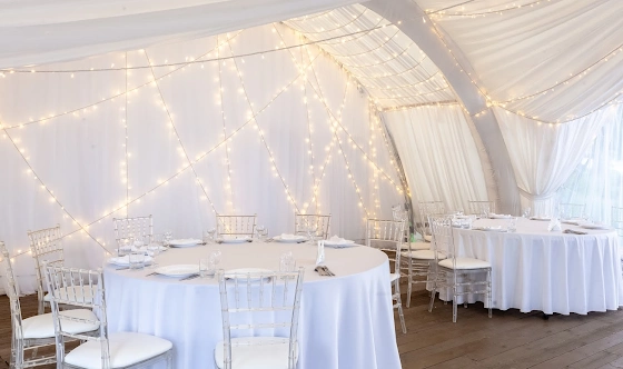 Фото №17 зала Лесная