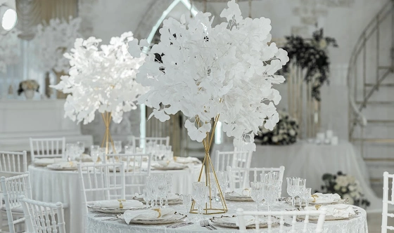 Фото №12 зала Зеркальный зал