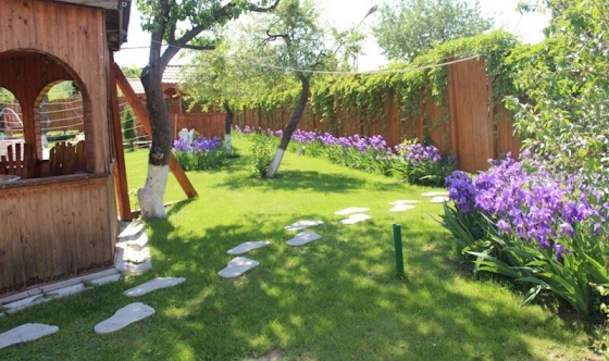 Фото №6 зала Летняя веранда