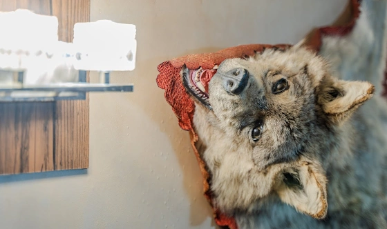 Фото №19 зала VIP-зал