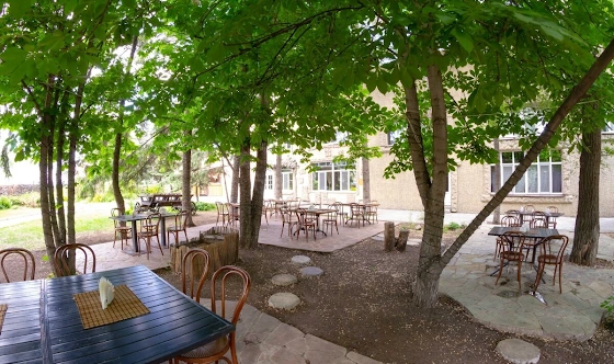 Фото №7 зала Летняя веранда