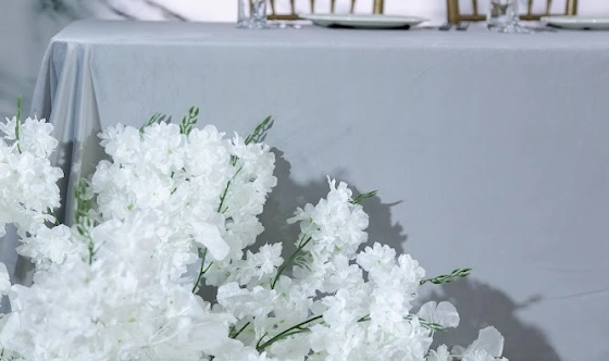 Фото №12 зала Большой зал 