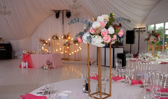 Фото №16 зала Трубецкой Холл