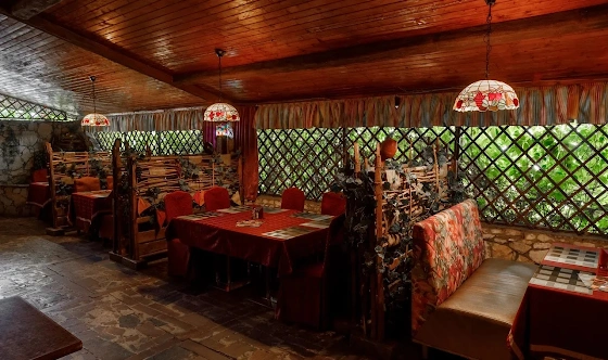 Фото №2 зала Летняя веранда