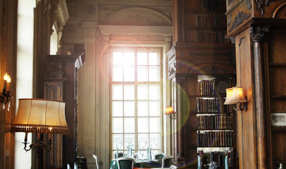 Фото №8 зала Зал «Библиотека»