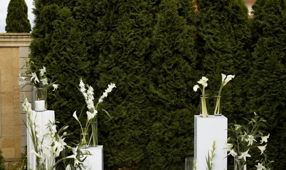 Фото №3 зала Терраса