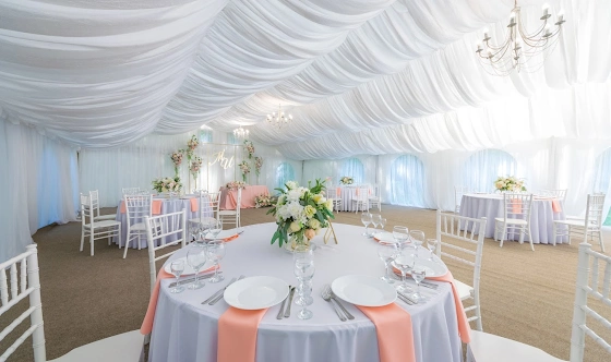 Фото №5 зала Шатер