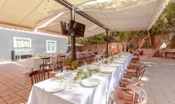 Фото №8 зала Летняя веранда