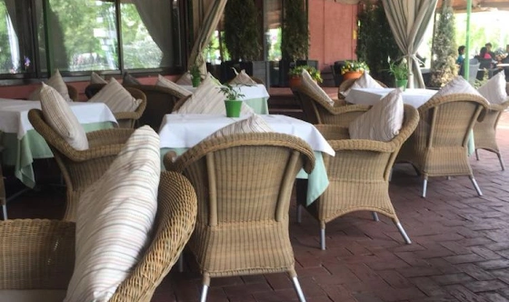 Фото №8 зала Летняя веранда