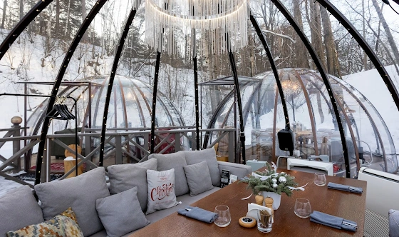 Фото №5 зала Капсула «Июнь»