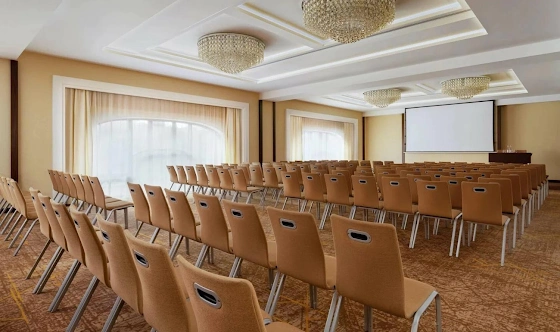 Фото №16 зала Зал «Чайковский»