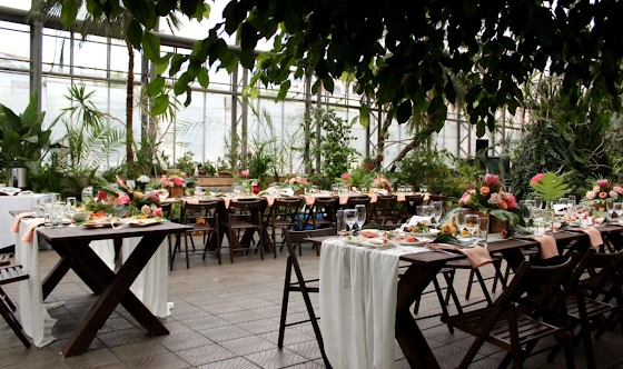 Фото №14 зала Оранжерея 