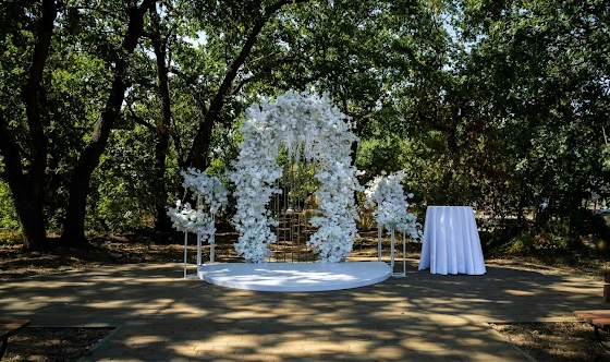 Фото №9 зала Зал "Лесной шатёр"