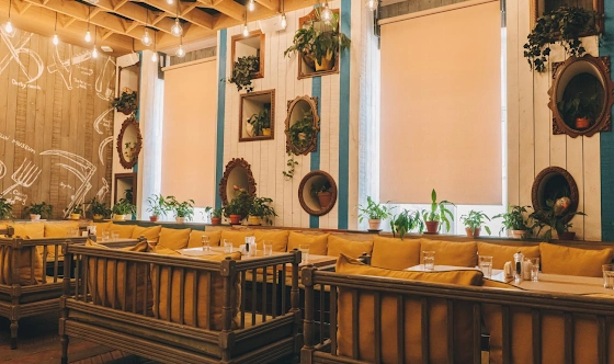 Фото №2 зала Попугаи