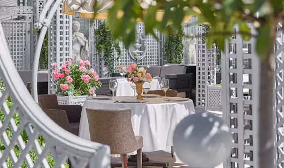 Фото №12 зала Трельяжная терраса