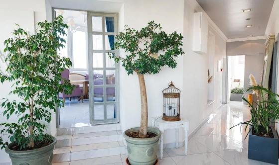 Фото №8 зала Малый зал