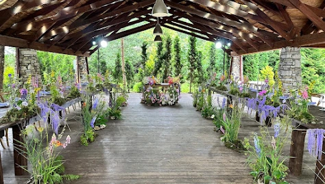 Фото №1 зала Веранда