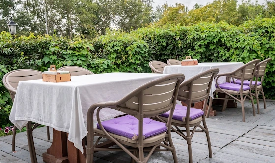 Фото №7 зала Летняя веранда 