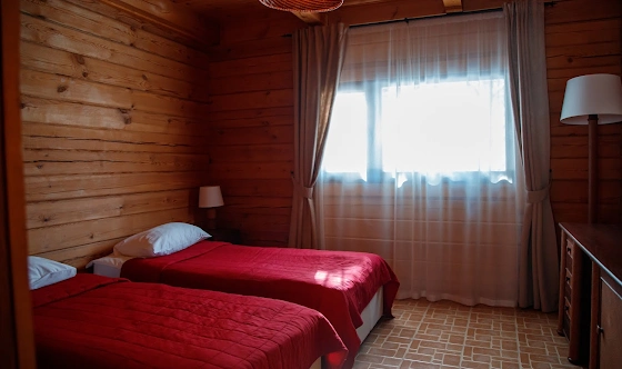 Фото №8 зала Альпийские дома "Центральный поселок"