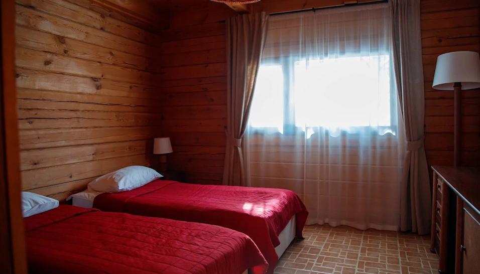 Фото №8 зала Альпийские дома "Центральный поселок"