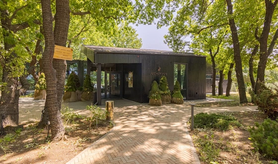 Фото №17 зала Застекленная веранда