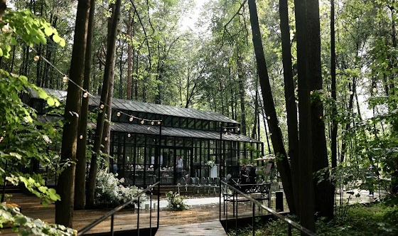 Фото №12 зала Оранжерея