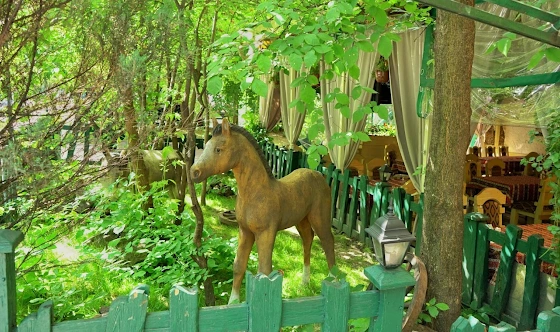 Фото №6 зала Веранда