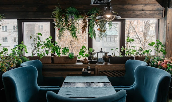 Фото №7 зала Ковровый зал