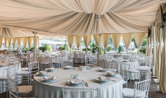 Фото №14 зала Веранда «Гуси-Лебеди»