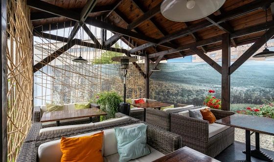 Фото №6 зала Большая терраса