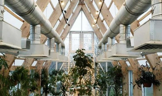 Фото №6 зала Левая и правая оранжерея 