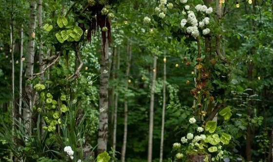 Фото №12 зала Стеклянная оранжерея